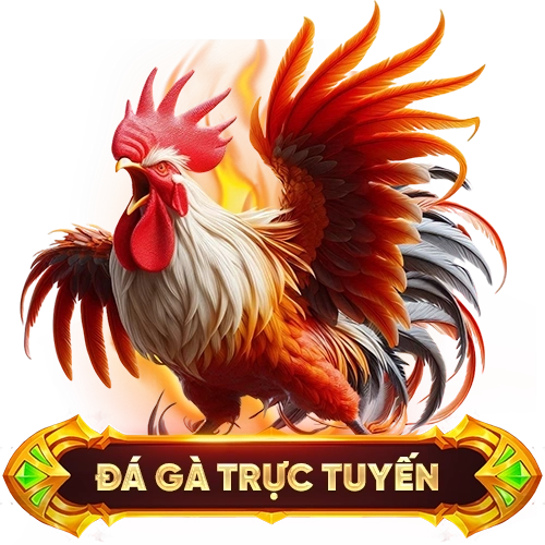 đá gà trực tuyến 8S